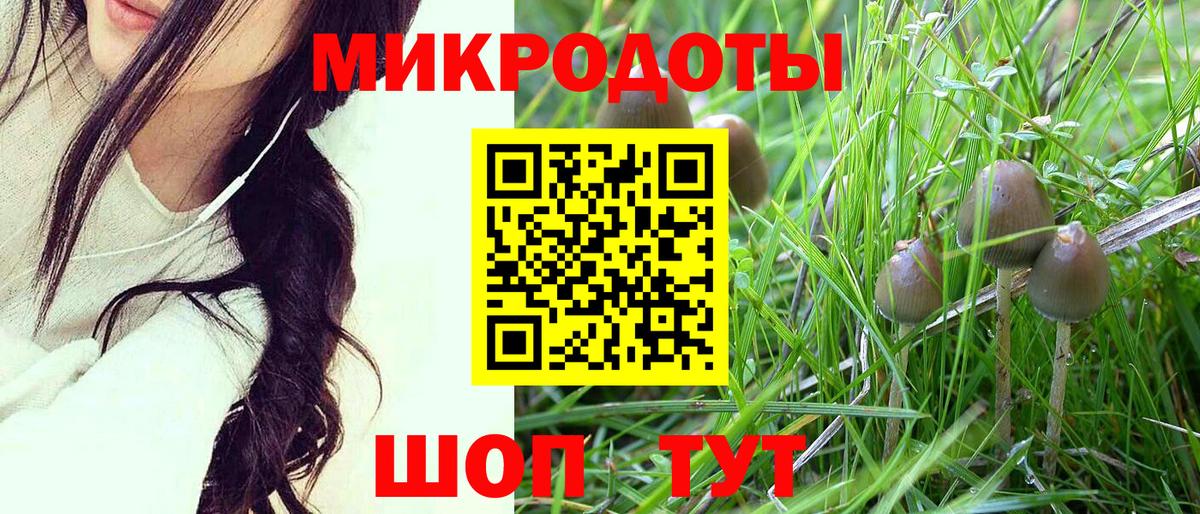 Псилоцибиновые грибы GOLDEN TEACHER Дмитров