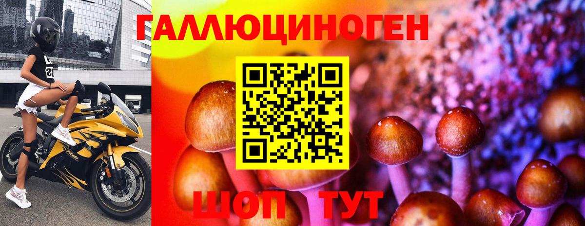 Псилоцибиновые грибы Magic Shrooms  Вход с VPN  Галлюциногенные грибы Cubensis  Дмитров 